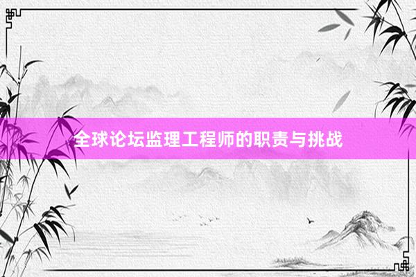 全球论坛监理工程师的职责与挑战