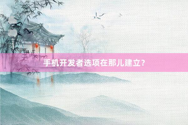 手机开发者选项在那儿建立？