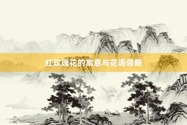 红玫瑰花的寓意与花语领略