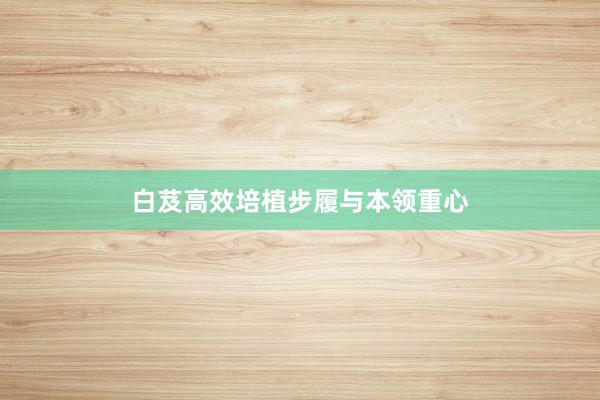 白芨高效培植步履与本领重心