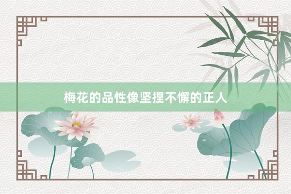 梅花的品性像坚捏不懈的正人
