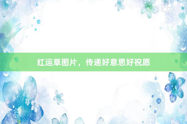 红运草图片，传递好意思好祝愿