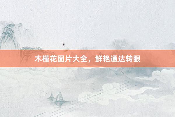 木槿花图片大全，鲜艳通达转眼