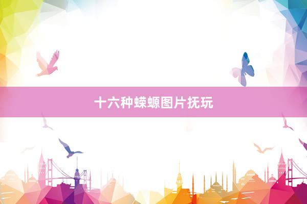 十六种蝾螈图片抚玩